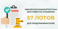 Минлесхоз Башкортостана выставил на аукционы 57 лотов для предпринимателей - Министерство лесного хозяйства