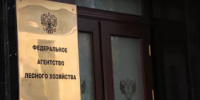 Рослесхоз разъяснил порядок перехода на новую XSD-схему при подаче отчета об использовании лесов - Министерство лесного хозяйства