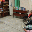 «Триколор моей России»: или как дошколята знакомились с историей появления Российского флага. - ЦБС г. Златоуста