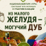 Старт акции «Из малого желудя — могучий дуб!» - Национальный парк Угра