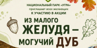 Старт акции «Из малого желудя — могучий дуб!» - Национальный парк Угра