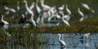 КаспийИнфо. Новости Астрахани и региона - KaspyInfo.Ru