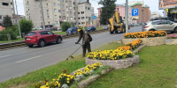 В Железнодорожном районе приводят в порядок общественные пространства - Администрация г. Барнаул