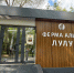 У курганцев появилась возможность покормить альпак яблоками и сделать фото с оленями и экзотическими овцами - Новый мир