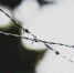 image - GazetaRB.Ru