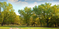 Тепло возвращается в Подмосковье, но — с одной оговоркой - ОКА-ФМ
