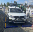 В Челябинске ликвидировали условный очаг птичьего гриппа - КП Челябинск