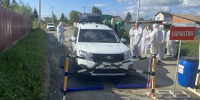 В Челябинске ликвидировали условный очаг птичьего гриппа - КП Челябинск
