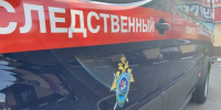 В Забайкалье местный житель признан виновным в реабилитации нацизма - Следственный комитет