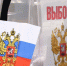 выборы - Novosti-Saratova.Ru