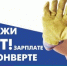 Прими участие в анонимном опросе на тему  «Неформальная занятость в Алтайском крае». - Администрация Кулундинского района
