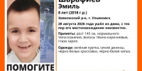 В Ульяновске разыскивают пропавшего в Заволжье 8-летнего мальчика - Комсомольская правда