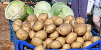 Ярмарка сельхозпродукции откроется в Чернянке 29 августа - Сетевое издание Приосколье 31