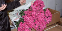 розы - РИА Омск-информ