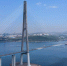 r2kgsfbr46b6cjxqiqq3om0aftvuxwzl (1).jpg - Primorye24.Ru