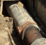 Фото: News29 - News29.Ru