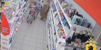 В Ярославле посетительница магазинов похищала кошельки у пенсионеров - Комсомольская Правда
