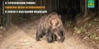 На Алтае введены новые ограничения на фоне смертельного инцидента с медведем - Altai-Info.com