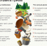 Как правильно выбирать и готовить грибы - Роспотребнадзор