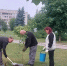 В Брянске в сквере Челюскинцев высадили четыре новых клёна - БрянскToday.Ru