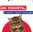 Как понять в какой я группе Колледжа? - Технологический университет
