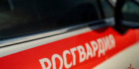 На Кубани сотрудники Росгвардии пресекли нарушения общественного порядка в гостиницах - Росгвардия