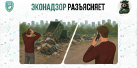 Фото: Комитет государственного экологического надзора Ленинградской области - Газета Выборг