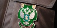В Омск везли саженцы хвои с заразой - СуперОмск