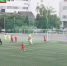 Видео - ТВН