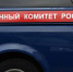 Глава СК запросил доклад по делу о нападении собак на ребенка в воронежском ЖК «Ботанический сад» - РИА Воронеж