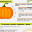 Признаки спелости тыквы - Калтасинский район