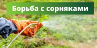 Почему важно бороться с сорняками осенью? - Калтасинский район