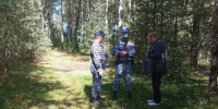 В Кольчугинском округе росгвардейцы нашли заблудившуюся в лесу женщину - Комсомольская правда