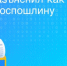 Росреестр Ленинградской области разъяснил как правильно оплатить госпошлину - Газета Приозерские ведомости