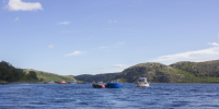 В Мурманской области ввели ограничения и режим ПГ - Телекомпания ТВ-21