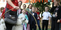 В Курске учиться любит даже пудель - Городские Известия