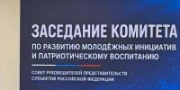 Заседание Комитета по развитию молодёжных инициатив и патриотическому воспитанию Совета руководителей представительств субъектов Российской Федерации. - Полпред Чувашской Республики при Президенте РФ
