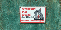За нападение собаки хозяину грозит до 8 лет тюрьмы: разъяснение юриста - КП Екатеринбург