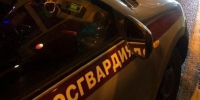В Петербурге росгвардейцы задержали пьяного водителя, устроившего ДТП - 47Channel.Ru