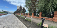 Первая аллея олимпийцев переехала на новую набережную в Омске - СуперОмск