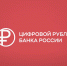 Опрос ВТБ: 66% жителей ПФО готовы попробовать операции в цифровых рублях с 1 сентября - Kirov.Online