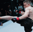 Первый боец из Карелии в UFC проведёт пресс-конференцию в Петрозаводске - StolicaOnego.Ru