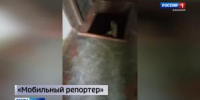 Ремонт пошёл не по плану? - Вести Хакасия