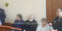 Двум калининградцам вынесли приговор по делу о сбыте наркотиков и легализации преступного дохода - Kaskad.TV