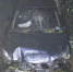 Hyundai съехал в кювет: 61-летний мужчина погиб на месте ДТП - Сетевое издание Толк
