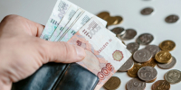 Камешковца обязали выплатить 420 тысяч рублей за убитую лосиху - Владимирские Ведомости