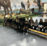 iskra.jpg - Отдел МВД России по городу Геленджик