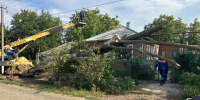 Многолетнее дерево из-за ветра упало на дом в Ейском районе - Приазовские степи