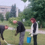 В Брянске в сквере Челюскинцев высадили новые клены - Комсомольская Правда