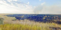 В Курганской области сотрудники МЧС России установили ещё двух виновников ландшафтных пожаров - Новый мир